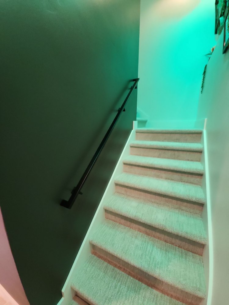 Carpeted basement staircase with black handrail installed during a RemodelCo basement finish in Daybreak, UT.-optimized