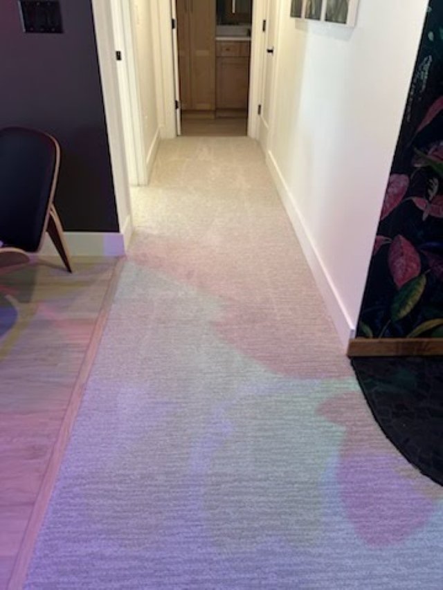 Finished basement corridor showcasing durable carpet flooring as part of a RemodelCo renovation in Daybreak, UT.-optimized