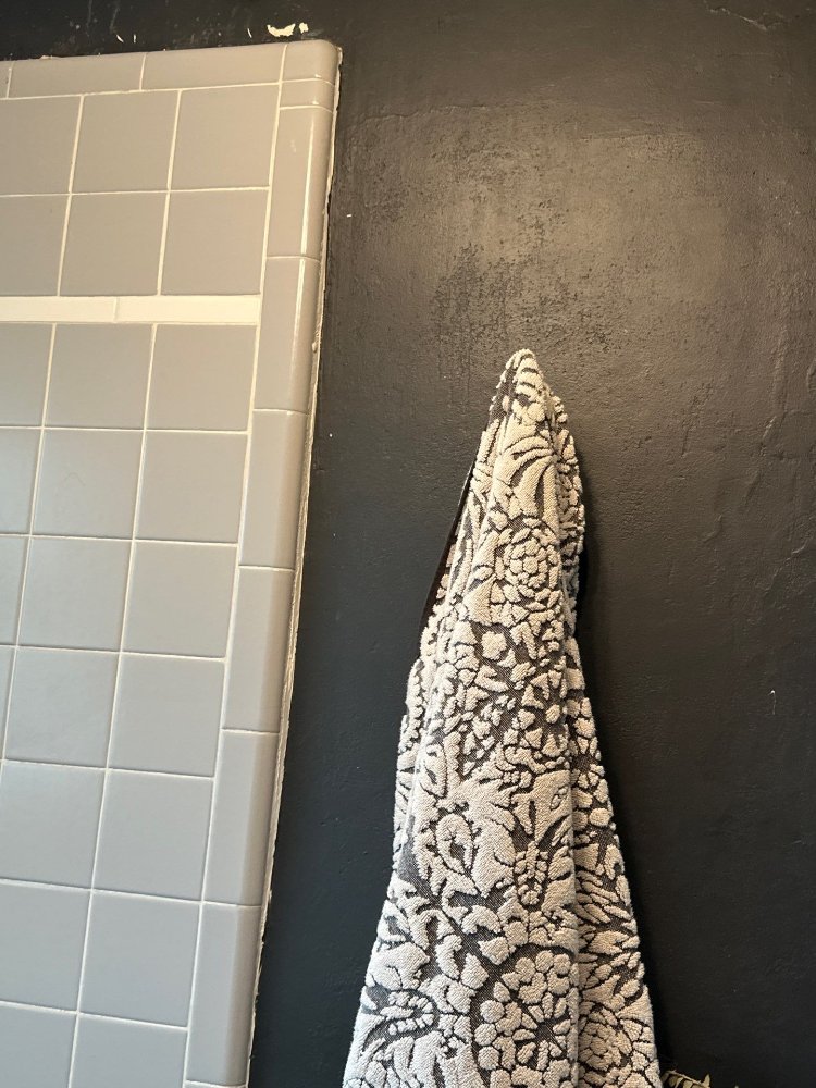 RemodelCo bathroom remodel project in Salt Lake City, UT showing existing painted walls and tile surround conditions before reno-optimized