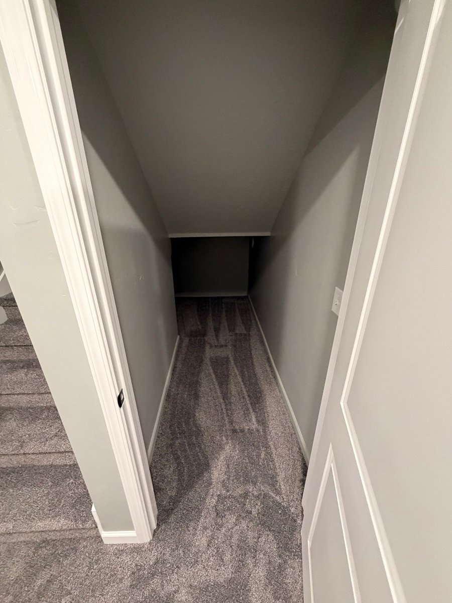 Finished under-stair storage space with carpet in a Herriman basement.