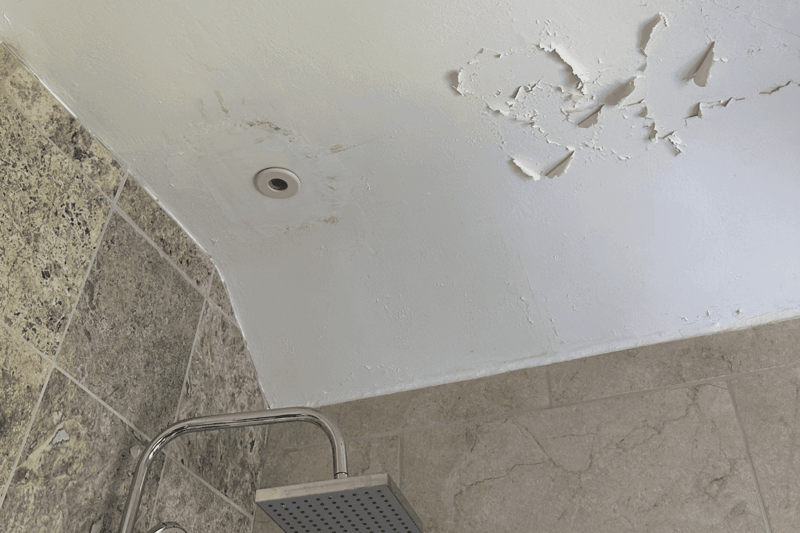 Image of paint on a bathroom ceiling peeling